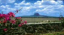 Cerro de Bernal
haz click para agrandar