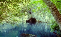 "La cueva", el Nacimiento.